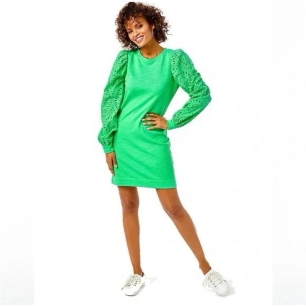 NWOT Jasona green eyelet dress XS